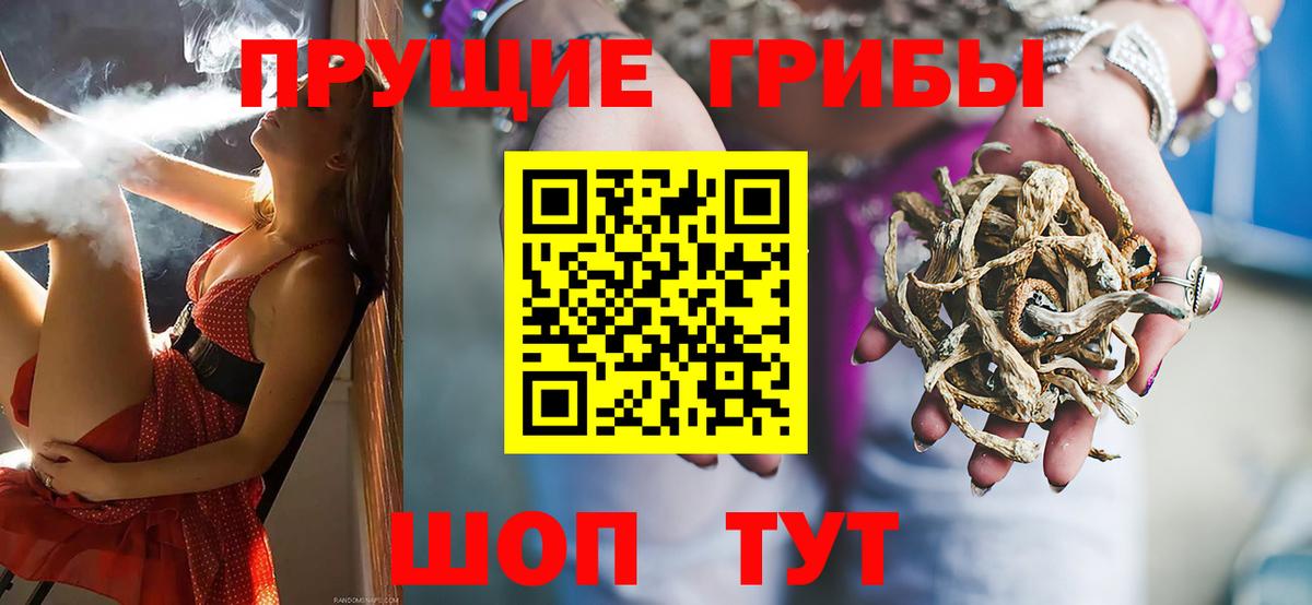 купить наркотик  Псилоцибиновые грибы GOLDEN TEACHER  Галлюциногенные грибы Psilocybe  Вход с VPN  Ишим 